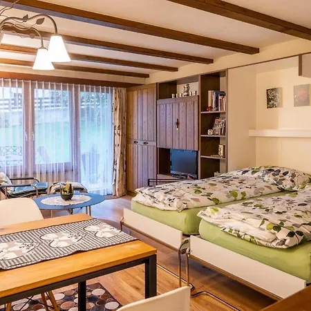 Apartment Gretas Home-city Center Studio Zermatt