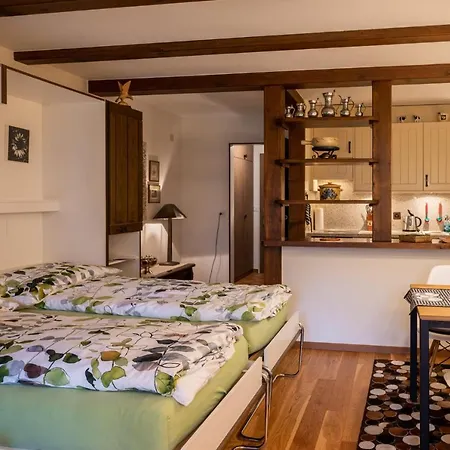 Gretas Home-city Center Studio *